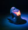 Profile picture of Neon Soul Design
